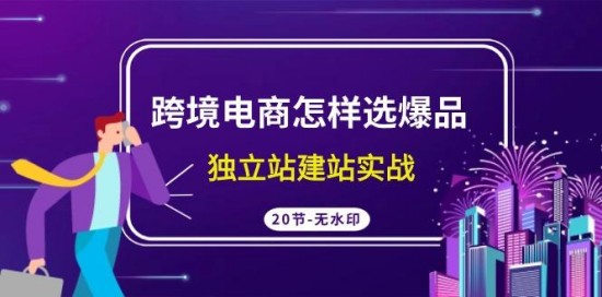 跨境电商怎样选爆品，独立站建站实战(20节高清无水印课)