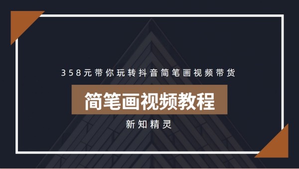 358元带你玩转抖音简笔画视频