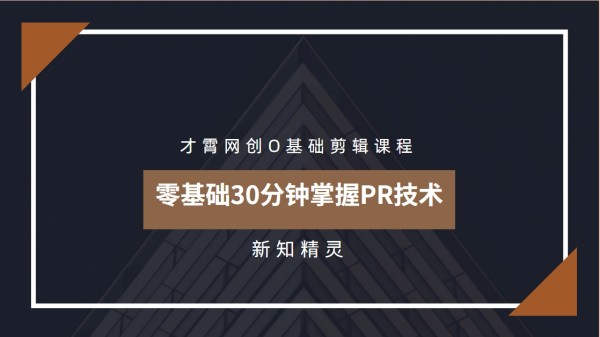 才霄网创28讲第第07讲：零基础30分钟掌握PR技术，实现月入过万
